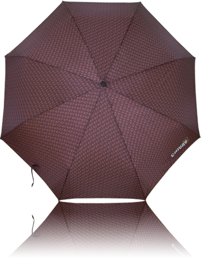 Paraguas plegable especial (Vista superior)